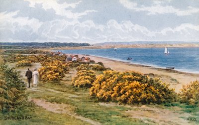 Studland Bay by Alfred Robert Quinton